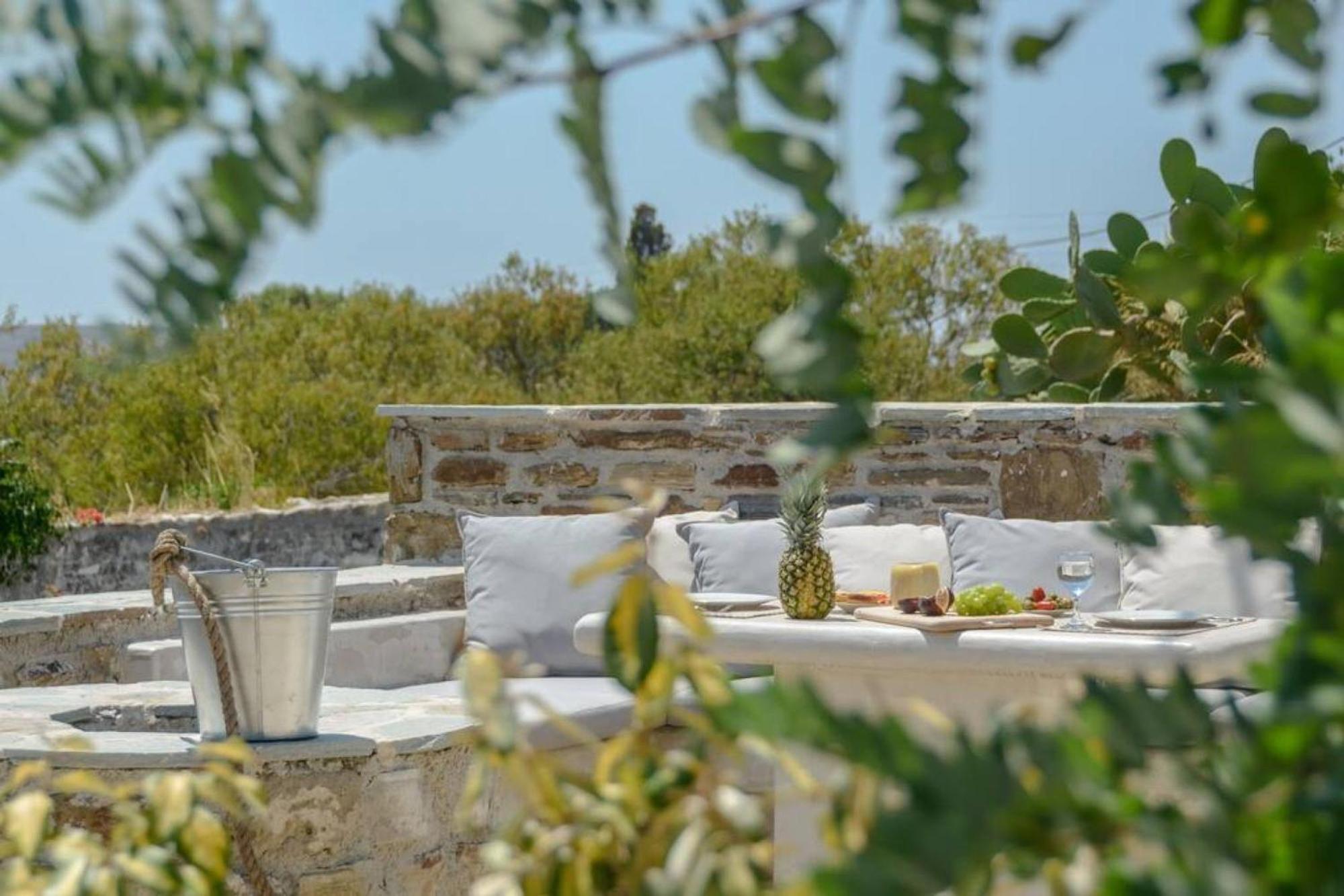 Villa Anthemion Naxos With Outdoor Jacuzzi Ano Sangrion Luaran gambar